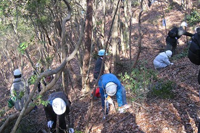森づくり（除伐作業の様子）