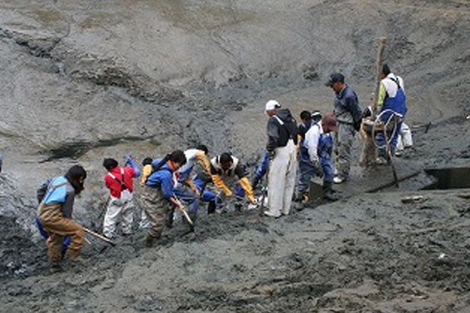 ため池のかいぼり