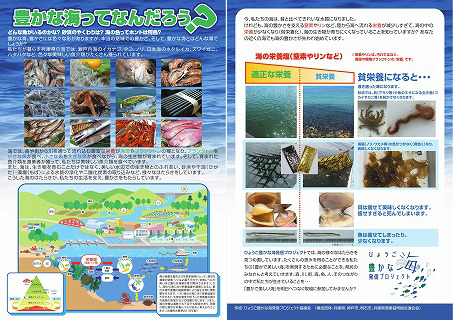 豊かな海ってなんだろう