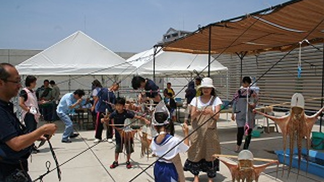 干しだこ作り体験