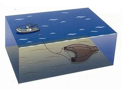 小型底曳網漁業