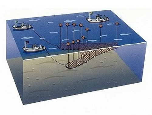 船曳網漁業