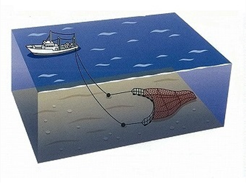 沖合底曳網漁業