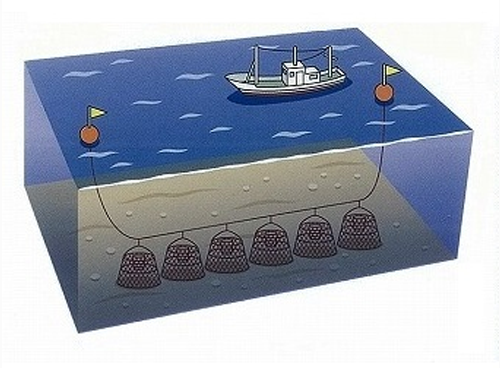 ベニズワイガニかご漁業